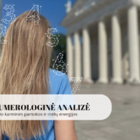 Karminių pamokų analizė