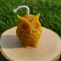 Žvakė pelėdžiukas