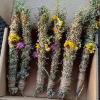 Smilkalai apsivalymui